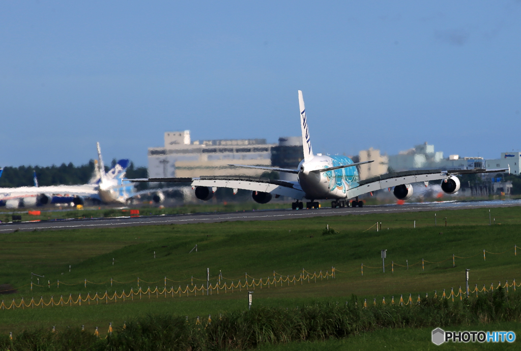 「青が好き」 ANA A380-841 「Flying Honu１、２」着陸