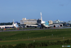 「青が好き」 ANA A380-841 「Flying Honu１、２」着陸