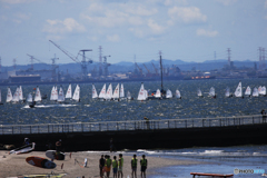 「青色が好き」東京湾・浜辺の風景です（4）