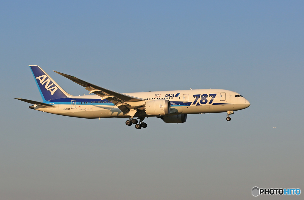 「スカイ」 ANA 787-8 JA814A Landing