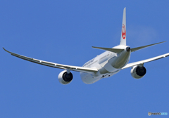 「青色」 JAL 787-9 JA862J 飛行