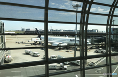 「はれー」A350 離陸・準備中に覗く