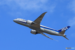 「スカイ」ANA 787-8 JA802A 出発です