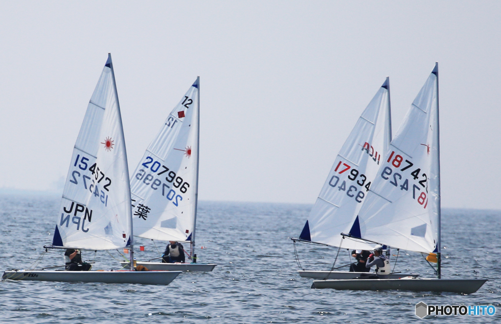 ☆「ブルー」順調ですか  (19)