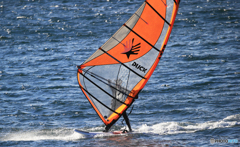 ☀「青い海」が一番　~ちょうど良い風~　　