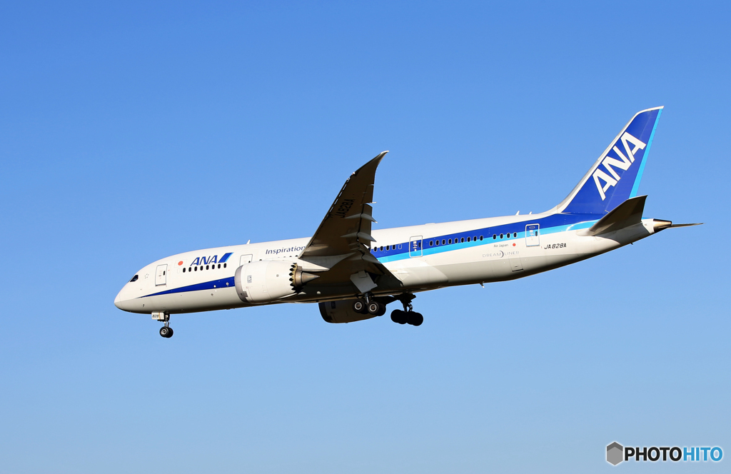 「良い天気」ANA 787-8 JA828A  到着です