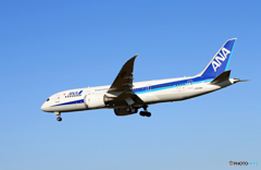 「良い天気」ANA 787-8 JA828A  到着です