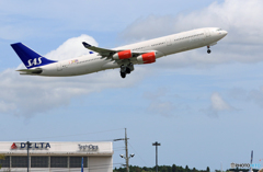 「すかい」 SAS A340-313 OY-KBC 飛び立ちです