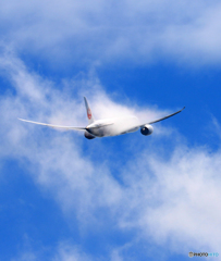 「群青色」 Japan Airlines 787 ベイパーですね。