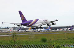 「☁」 Thai A380-841 HS-TUB Landing