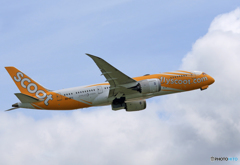 「すかい」 scoot 787-8 9V-OFC Takeoff 