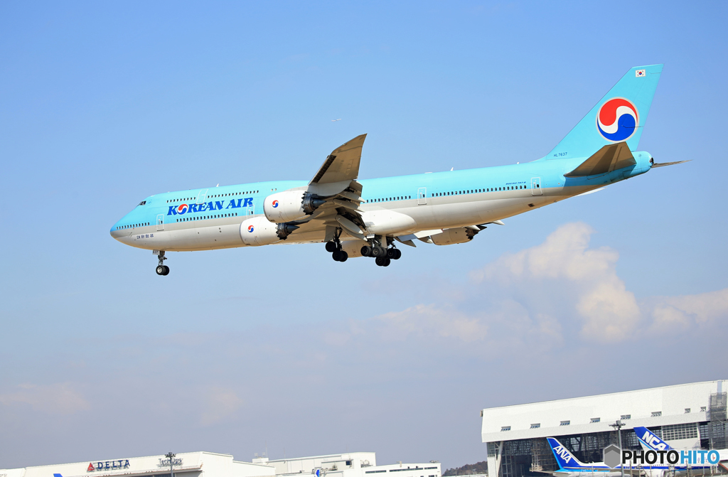 「青空」 Korean 747-8 HL7637 Landing