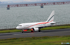 「あおぞら」ルクセンブルク グローバルジェットA318-112