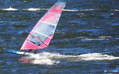 「青色が好き」 飛 ば す よ 〜