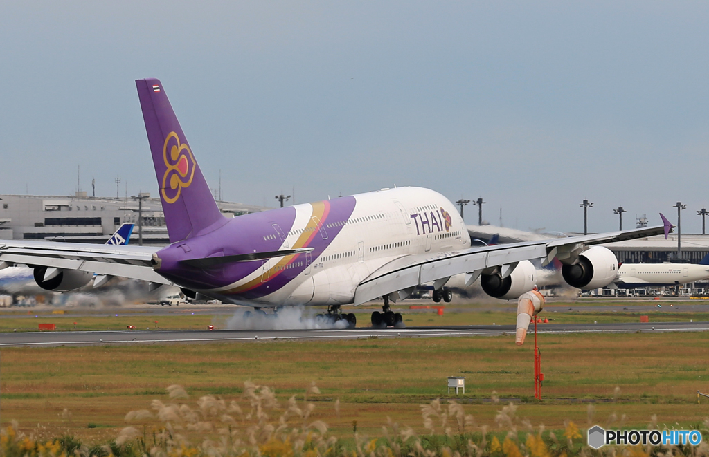 「青色が好き」THAI A380-841 HS-TUB 飛行 