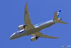 [青い空]　ANA 787-8 JA822A 出発