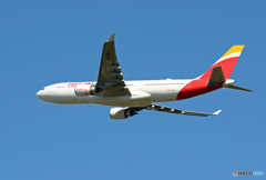 「青が大好き」 イベリア航空 A330-202 EC-MJT 飛び立ち
