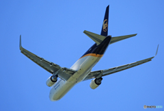 「ぶるー」 UPS 767-34AF N341UP 飛行