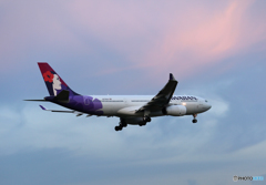 「青が好き」 HAWAIAN A330-243 N378HA 着地前 