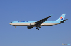 「良い空～」Korean A330-300 HL7720 着陸します