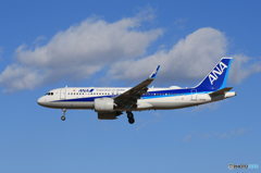  「令和」 ANA A320-271N JA212A 記念