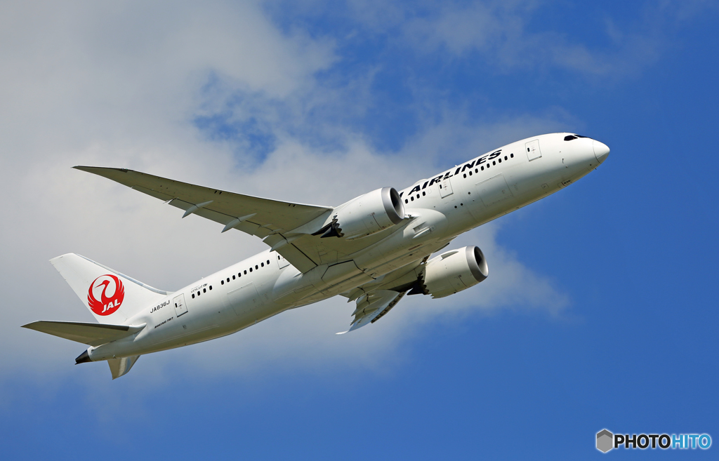 「青が大好き」 JAL 787-9 JA868J 出発です
