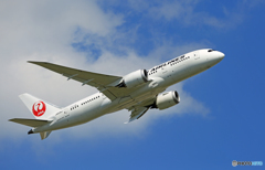 「青が大好き」 JAL 787-9 JA868J 出発です