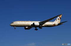 「青い日」Etihad 787-9 A6-BLO   Landing