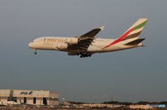 「すかい」 EMIRATES A380-861 空港・風景