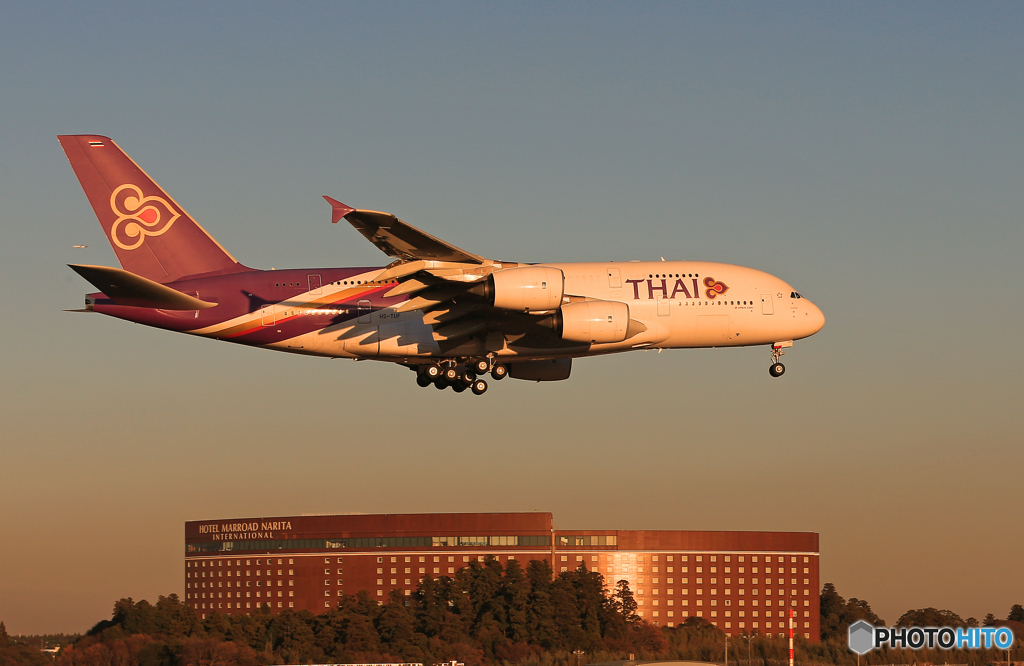 「青空」 THAI A380-841 HS-TUF 到着です