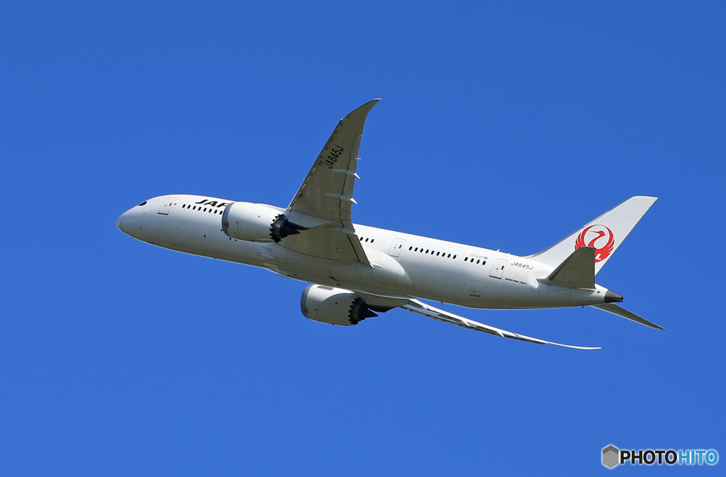 「群青色」 JAL 787-8 JA845J Takeoff  
