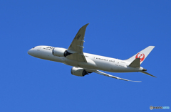 「群青色」 JAL 787-8 JA845J Takeoff  