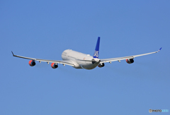  「青が好き」 スカンジナビア A340-313 OY-KBI Takeoff 