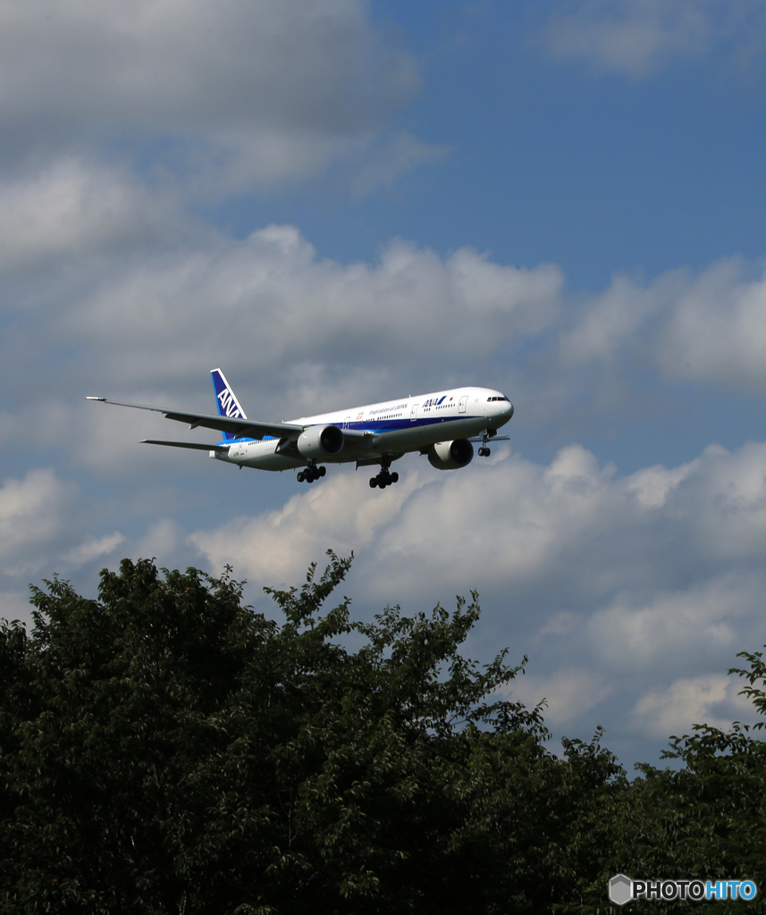 「青色が好き」 ANA 777 JA733A 