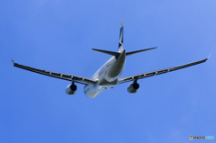 「あおぞら」 CATHAY A330-343 B-HLU 飛行