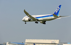「空色」 ANA 787-8 JA874A Landing