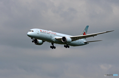 「曇り」Air Canada 787-9 C-FGDT  Landing
