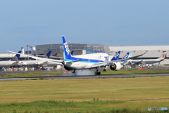 「あおいそら」 ANA 787-8 JA806A 着地