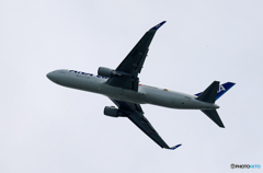 「くもり」ANA cargo 767-316F　コロナ禍で大活躍です