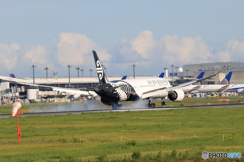 「SKY」 Air New Zealand B787-9 Landing