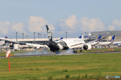 「SKY」 Air New Zealand B787-9 Landing