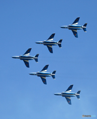 ☮休憩ﾀｲﾑ(575)  ダブル　ブルー