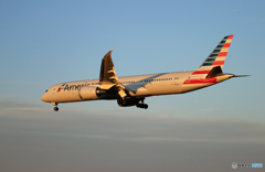 「青色」American 787-9 N833AA  到着です