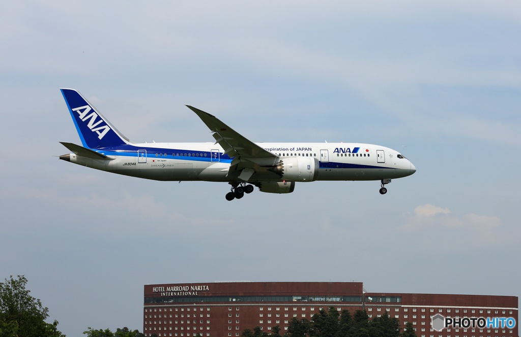 「晴れ」 ANA 787-8 JA804A 来た～