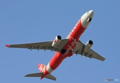 「あおぞら」 Air Asia A330-343 HS-XTG Takeoff 