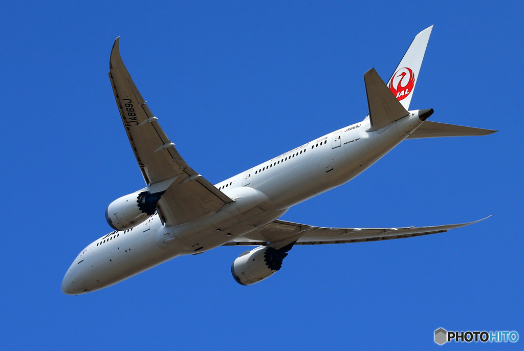 「青が大好き」 JAL 787-9 JA869J 離陸