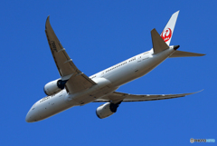 「青が大好き」 JAL 787-9 JA869J 離陸