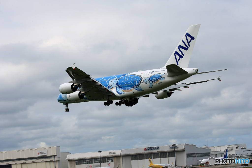 「曇り」 Flying Honu A380-841  Landing 