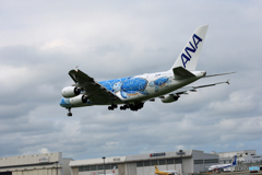 「曇り」 Flying Honu A380-841  Landing 