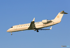 「あおいそら」 Jiansu Jet CRJ-200ER 飛行